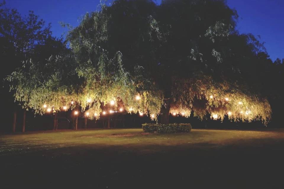Quinta da Morgadinha